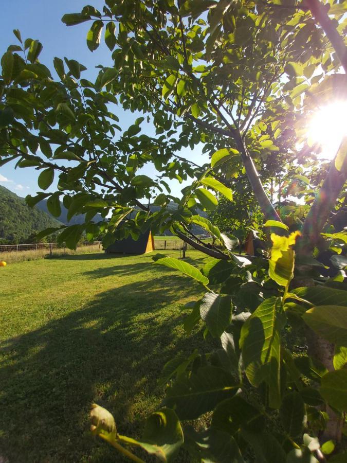 מלון טולמין Glamping Hiske Petrin מראה חיצוני תמונה